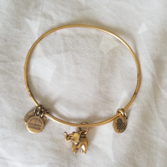 Alex and Ani Jewelry - Bracelet